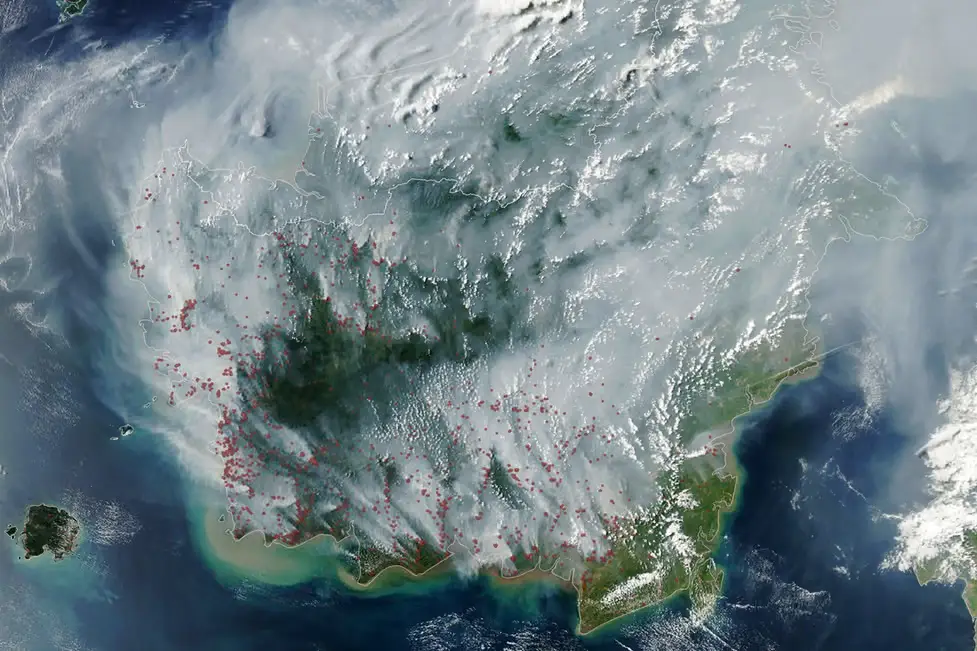 Citra NASA FIRMS menunjukkan sebaran api hutan