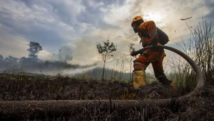 Petugas BNPB dan tim gabungan padamkan api di lahan gambut