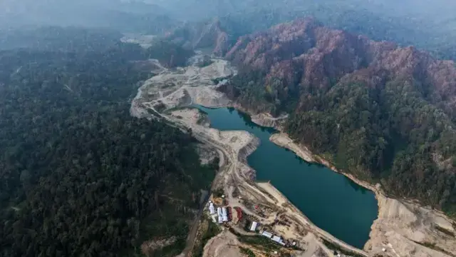 PT Antam tambang emas Papua